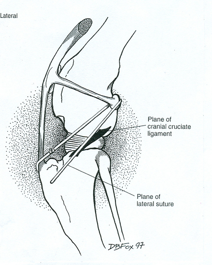 Veterinary Ligature | RoundPeg Innovations